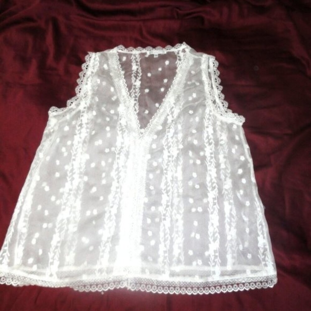 Sheer Top V Neck Lace Sz M